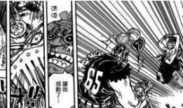 路飞爆料最新悬赏,狂野冒险家悬赏金再创新高！